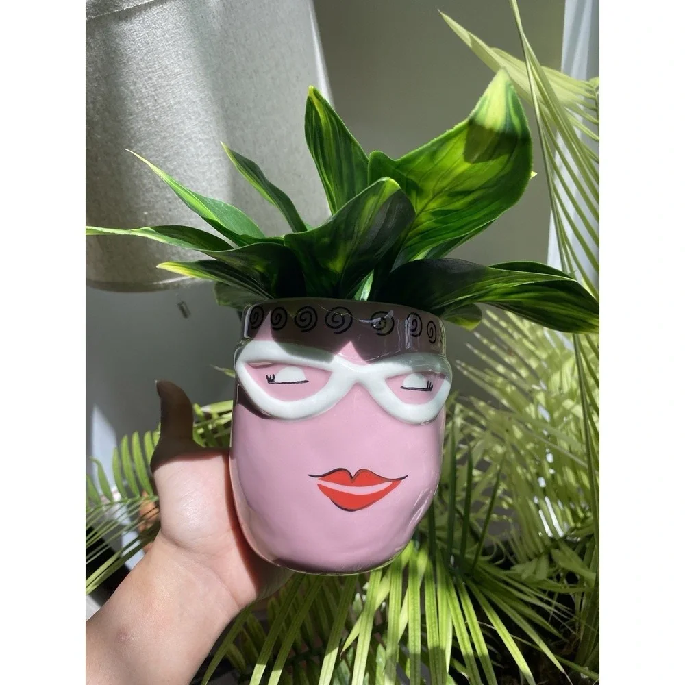 Pink‎ Face Planter For Succulent Quirky Whimsy